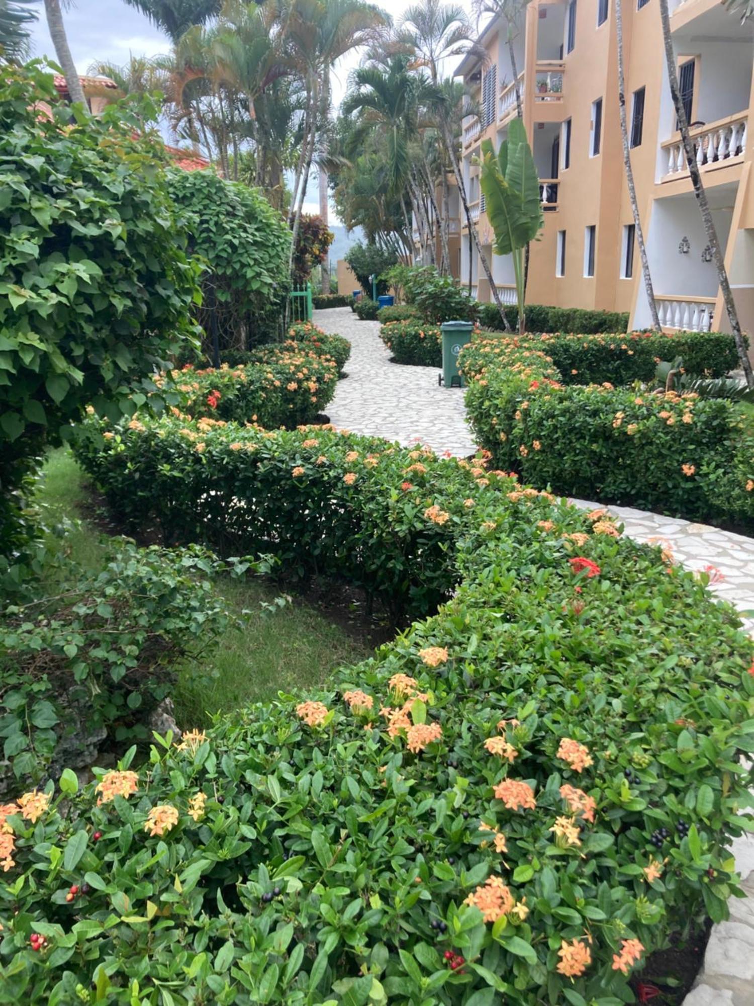 Cita del Sol City Apartments Cabarete Esterno foto